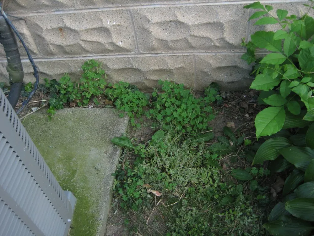 Expert landscaping services for residential properties in Indianapolis, IN by Lawn Love Lawn Care