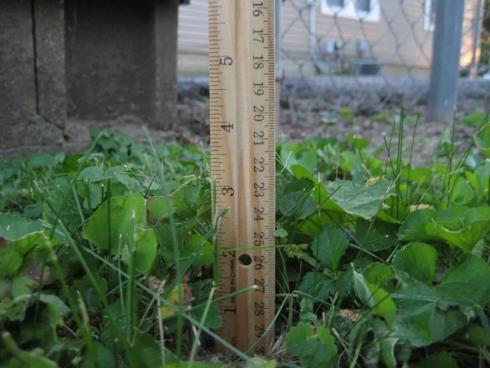 Expert residential landscaping in Indianapolis, IN by Lawn Love Lawn Care