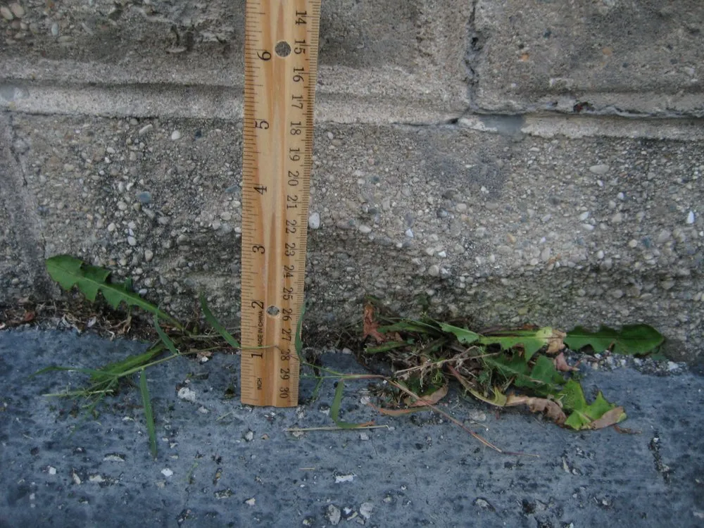 Trusted lawn care service experts serving Indianapolis, IN - Lawn Love Lawn Care