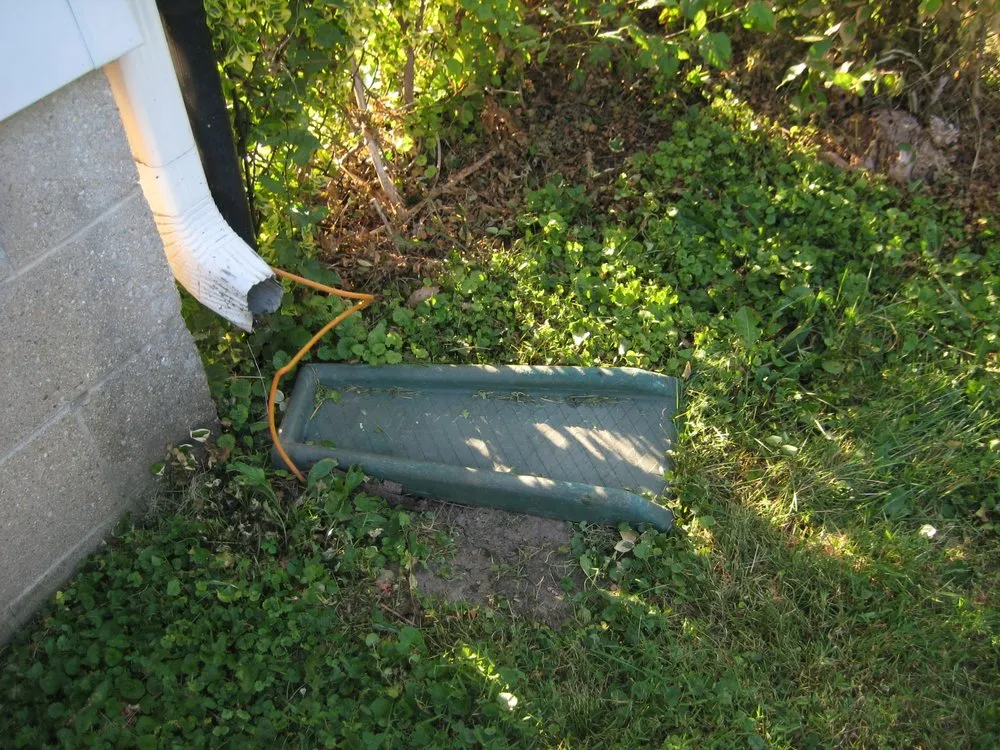 Affordable residential landscaping near you across Indianapolis, IN - Lawn Love Lawn Care