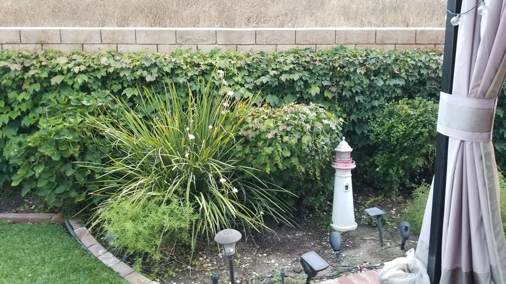 Trusted landscape design for homes in Irvine, CA by Lawn Love Lawn Care