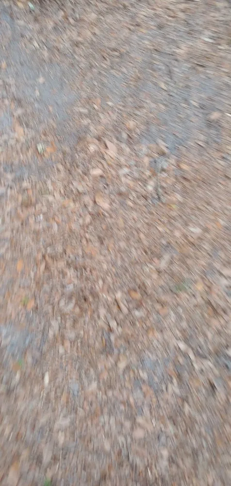 Reliable lawn mowing service in Jacksonville, FL - Lawn Love Lawn Care