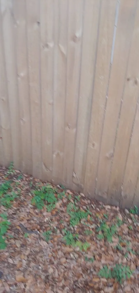 Expert residential landscaping experts serving Jacksonville, FL - Lawn Love Lawn Care