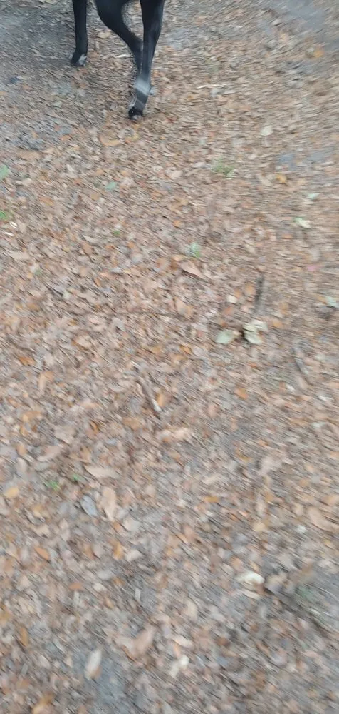 Expert outdoor landscaping in Jacksonville, FL - Lawn Love Lawn Care