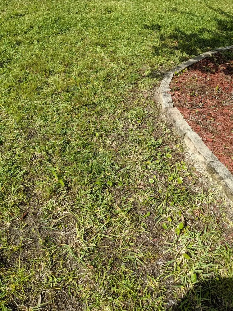 Custom landscape installation in Jacksonville, FL by Lawn Love Lawn Care