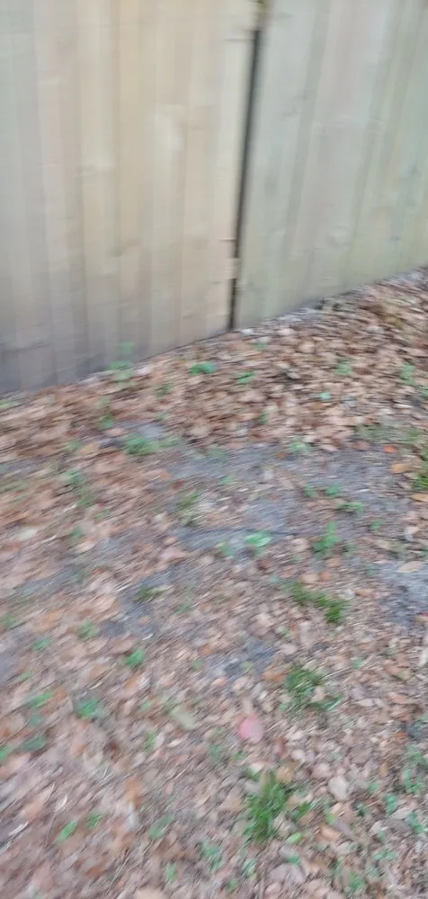 Professional landscape installation in Jacksonville, FL - Lawn Love Lawn Care