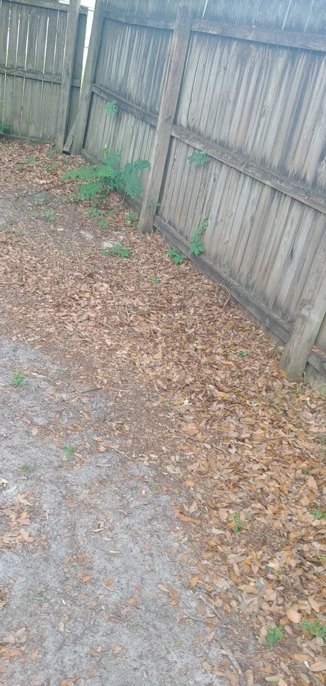 Custom outdoor landscaping in Jacksonville, FL - Lawn Love Lawn Care