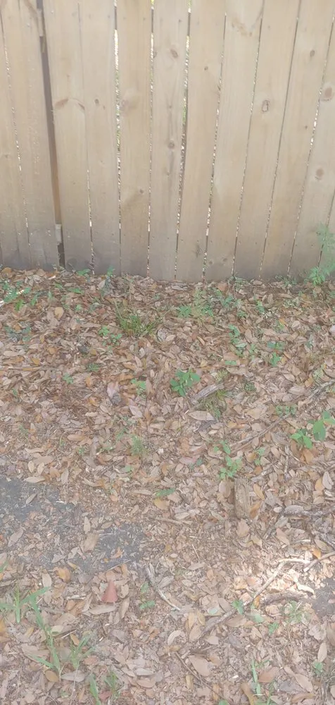 Reliable yard cleanup service in Jacksonville, FL - Lawn Love Lawn Care