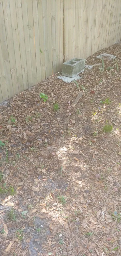 Affordable outdoor landscaping experts serving Jacksonville, FL - Lawn Love Lawn Care