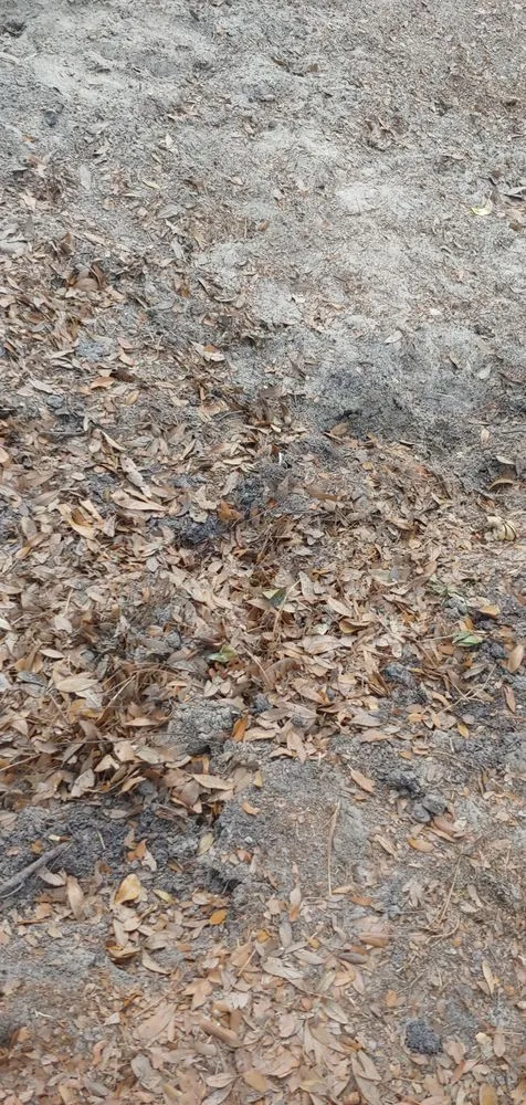 Trusted landscape installation in Jacksonville, FL by Lawn Love Lawn Care