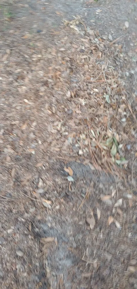 Expert garden landscaping experts serving Jacksonville, FL - Lawn Love Lawn Care