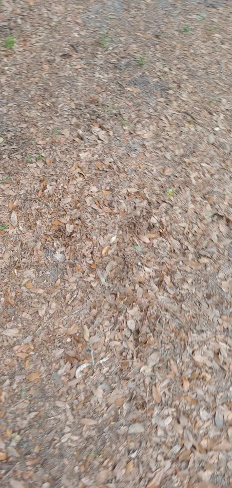 Custom residential landscaping for residential properties across Jacksonville, FL - Lawn Love Lawn Care