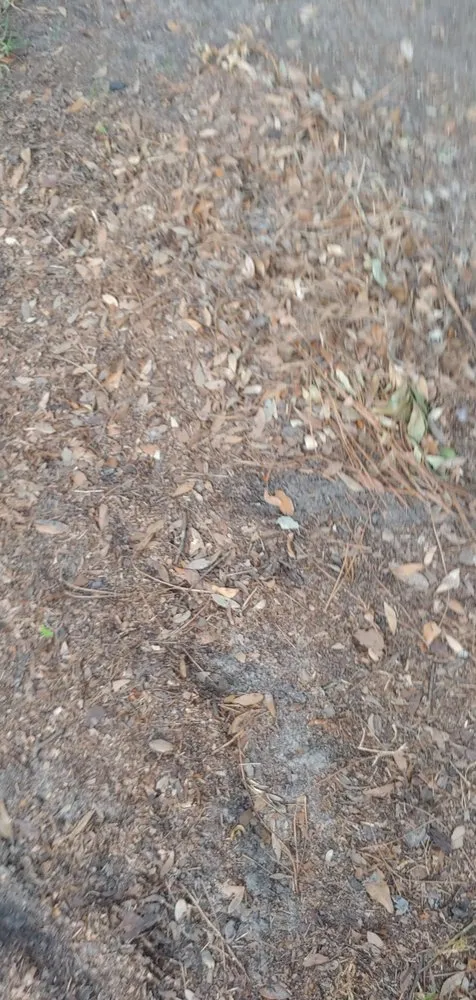 Custom garden landscaping in Jacksonville, FL - Lawn Love Lawn Care