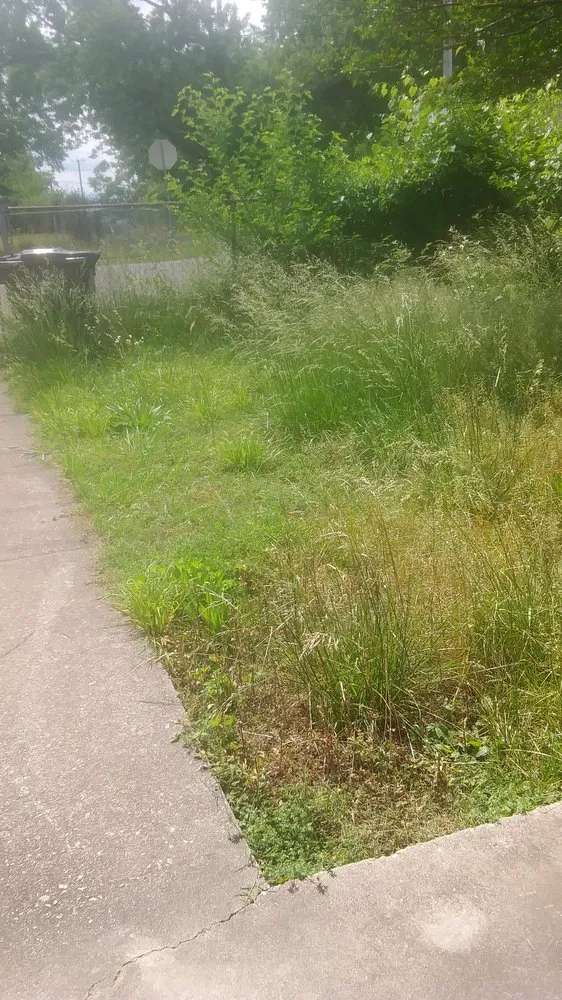 Custom lawn care service for year-round maintenance across Knoxville, TN - Lawn Love Lawn Care