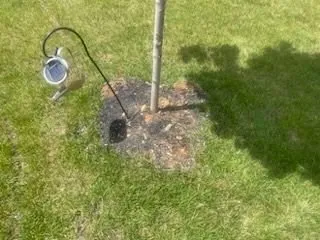 Affordable yard cleanup service in Knoxville, TN by Lawn Love Lawn Care