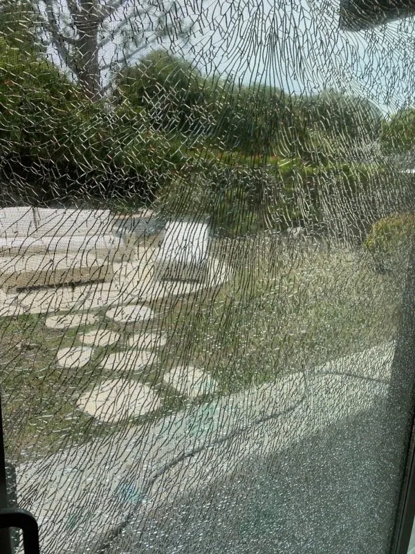 Top-rated lawn mowing service for beautiful yards in Los Angeles, CA by Lawn Love Lawn Care