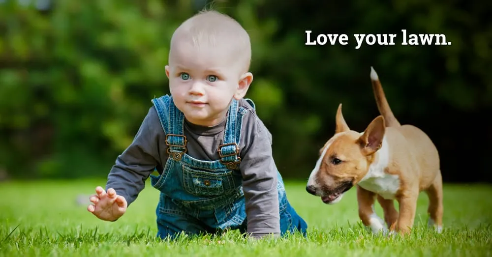 Reliable residential landscaping for year-round maintenance across Louisville, KY - Lawn Love Lawn Care