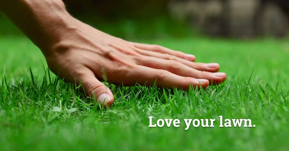 Top-rated yard maintenance for beautiful yards in Louisville, KY by Lawn Love Lawn Care