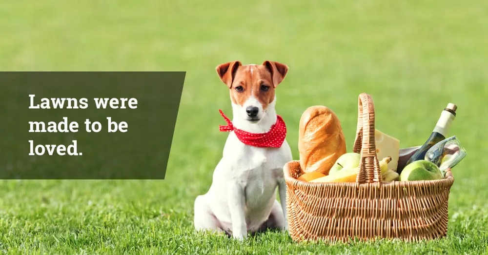 Professional garden landscaping for year-round maintenance across Louisville, KY - Lawn Love Lawn Care