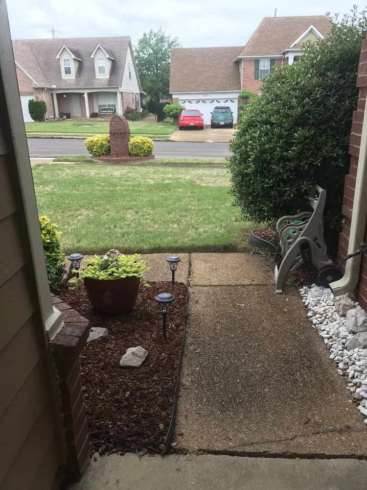Reliable yard cleanup service near you in Memphis, TN by Lawn Love Lawn Care