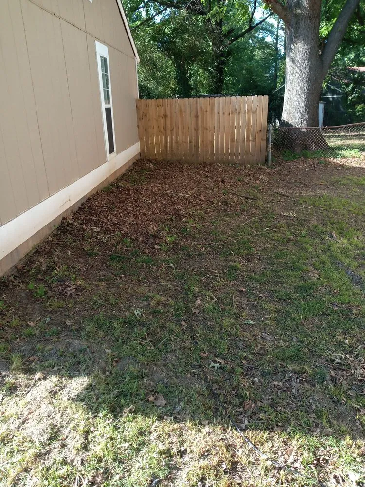 Expert yard maintenance experts serving Memphis, TN - Lawn Love Lawn Care