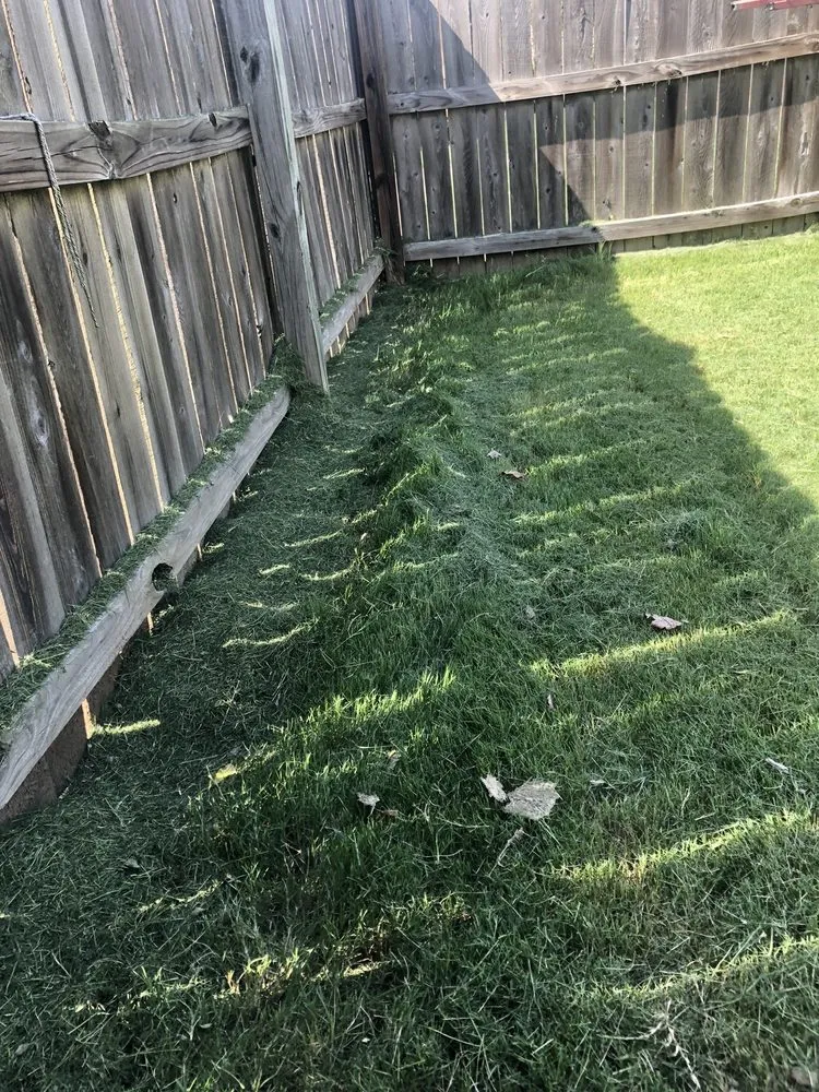 Top-rated yard cleanup service with custom design across Memphis, TN - Lawn Love Lawn Care