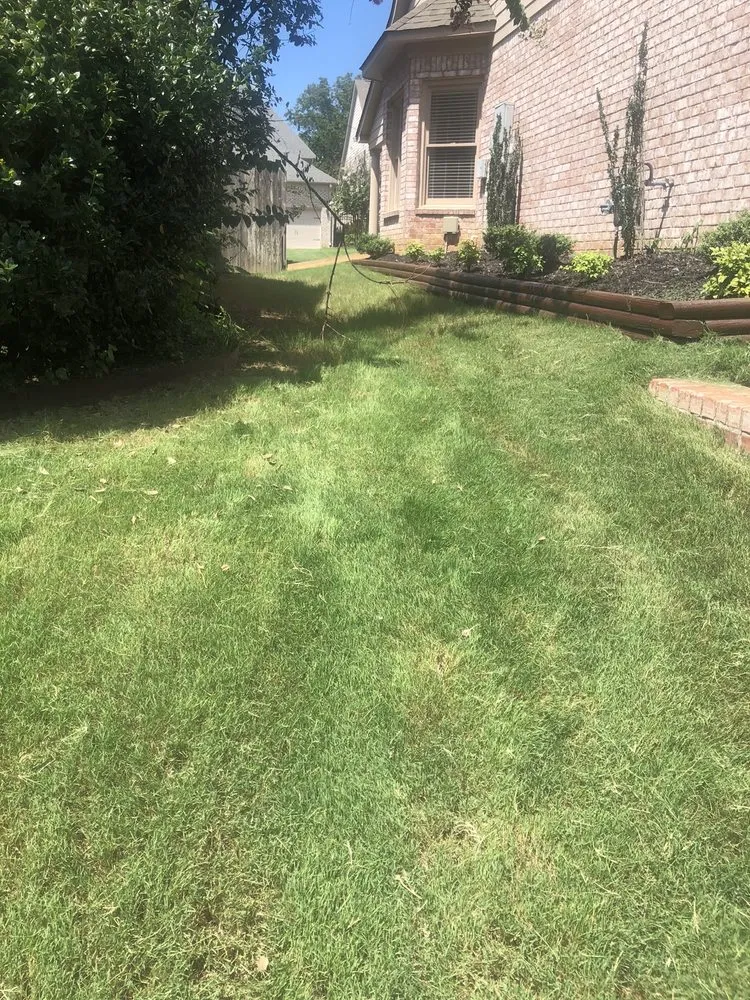 Affordable landscaping services in Memphis, TN by Lawn Love Lawn Care