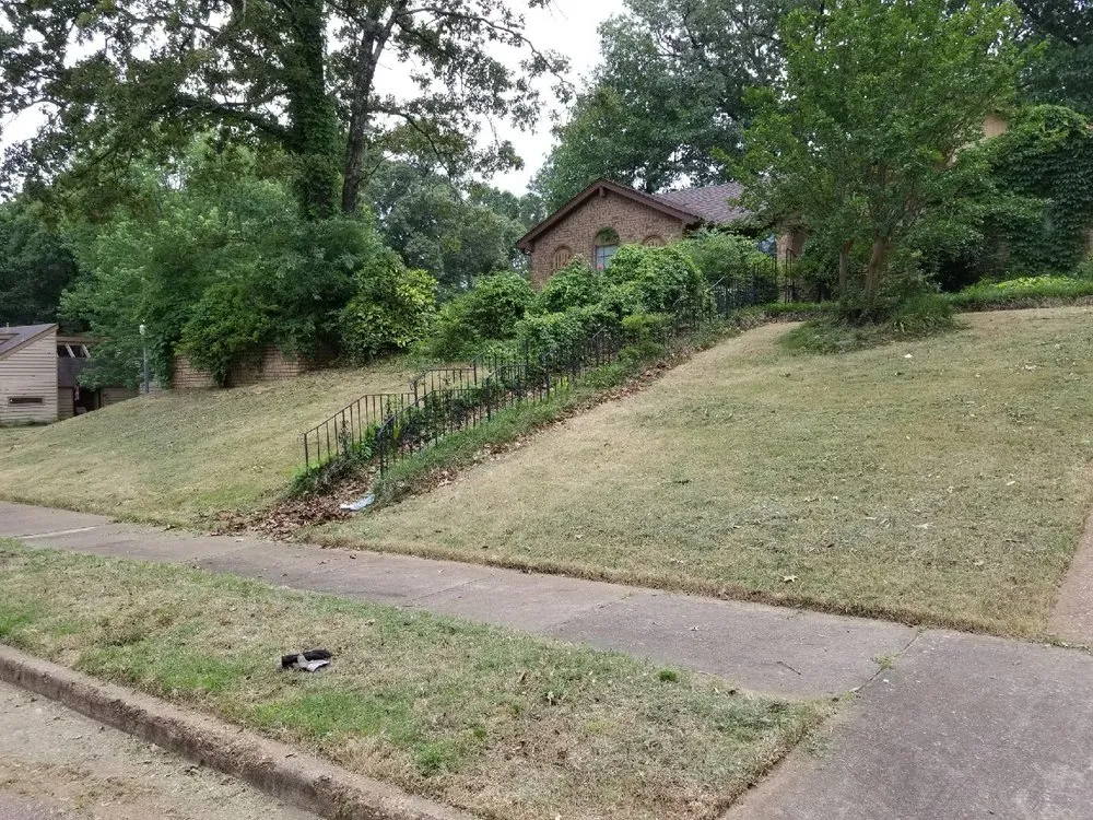 Professional residential landscaping for year-round maintenance across Memphis, TN - Lawn Love Lawn Care