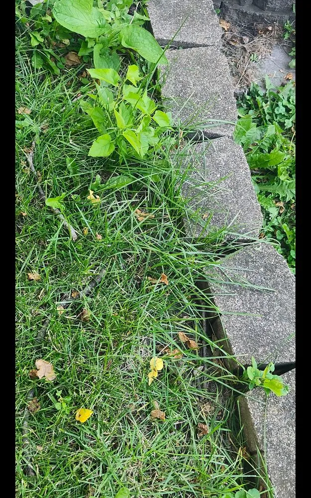 Local garden landscaping in Milwaukee, WI by Lawn Love Lawn Care