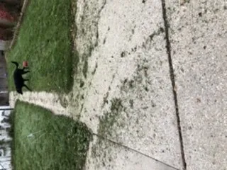 Local landscape design for outdoor upgrades in Milwaukee, WI by Lawn Love Lawn Care