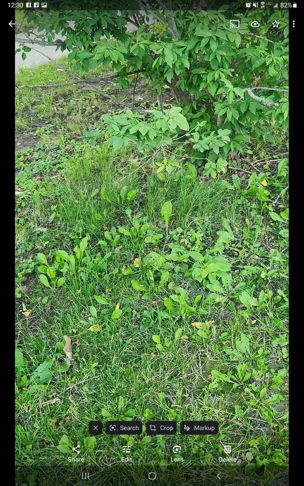 Trusted landscaping services for homes in Milwaukee, WI by Lawn Love Lawn Care