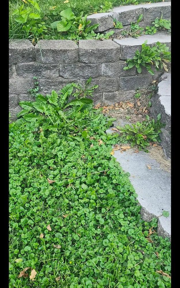 Affordable lawn care service with custom design in Milwaukee, WI by Lawn Love Lawn Care