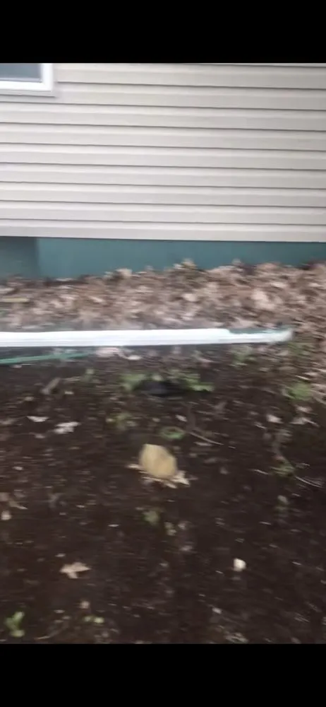 Trusted lawn mowing service in Minneapolis, MN by Lawn Love Lawn Care