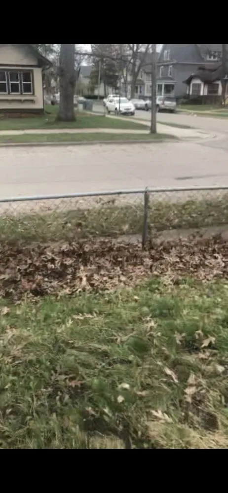 Top-rated lawn care service for homes in Minneapolis, MN by Lawn Love Lawn Care