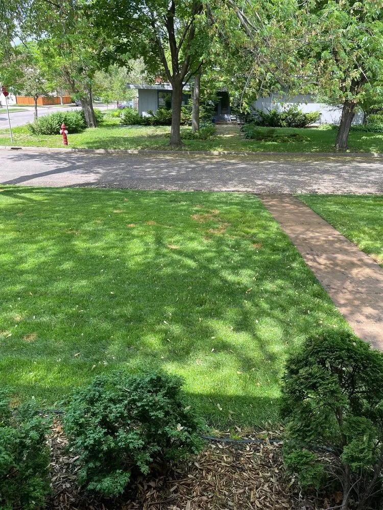Local landscape design experts serving Minneapolis, MN - Lawn Love Lawn Care