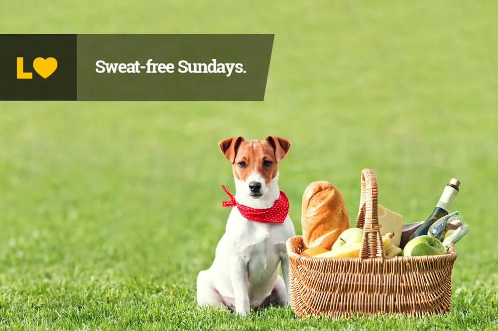 Affordable lawn mowing service in Oklahoma City, OK - Lawn Love Lawn Care