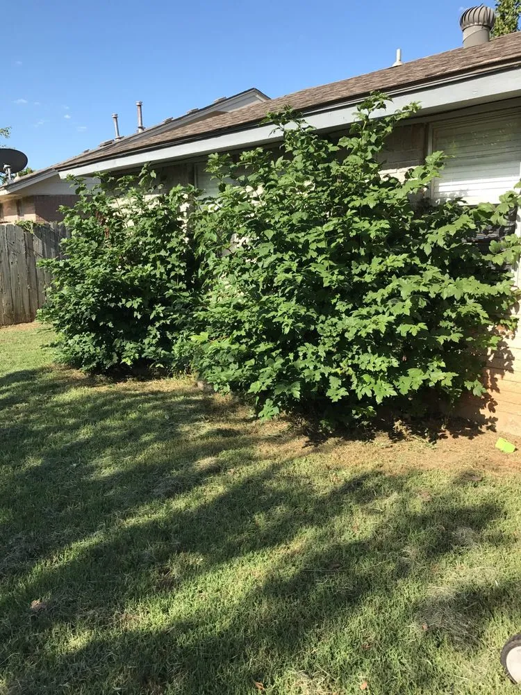 Custom landscape design for residential properties in Oklahoma City, OK by Lawn Love Lawn Care