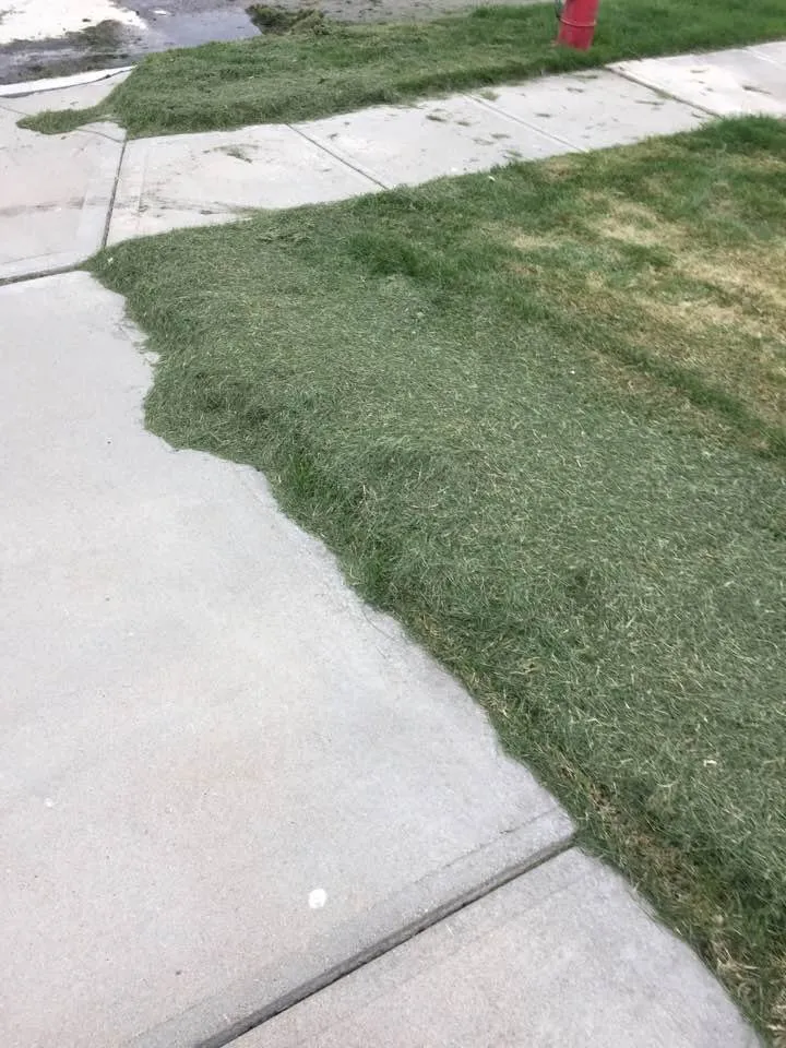 Affordable outdoor landscaping for residential properties in Omaha, NE by Lawn Love Lawn Care