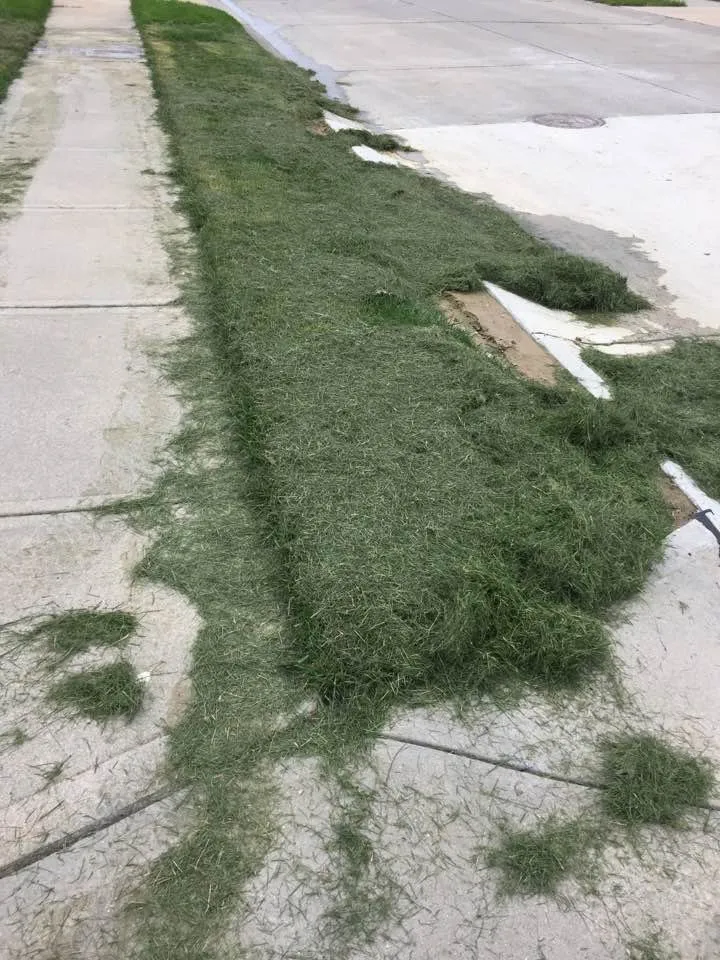 Expert outdoor landscaping experts serving Omaha, NE - Lawn Love Lawn Care