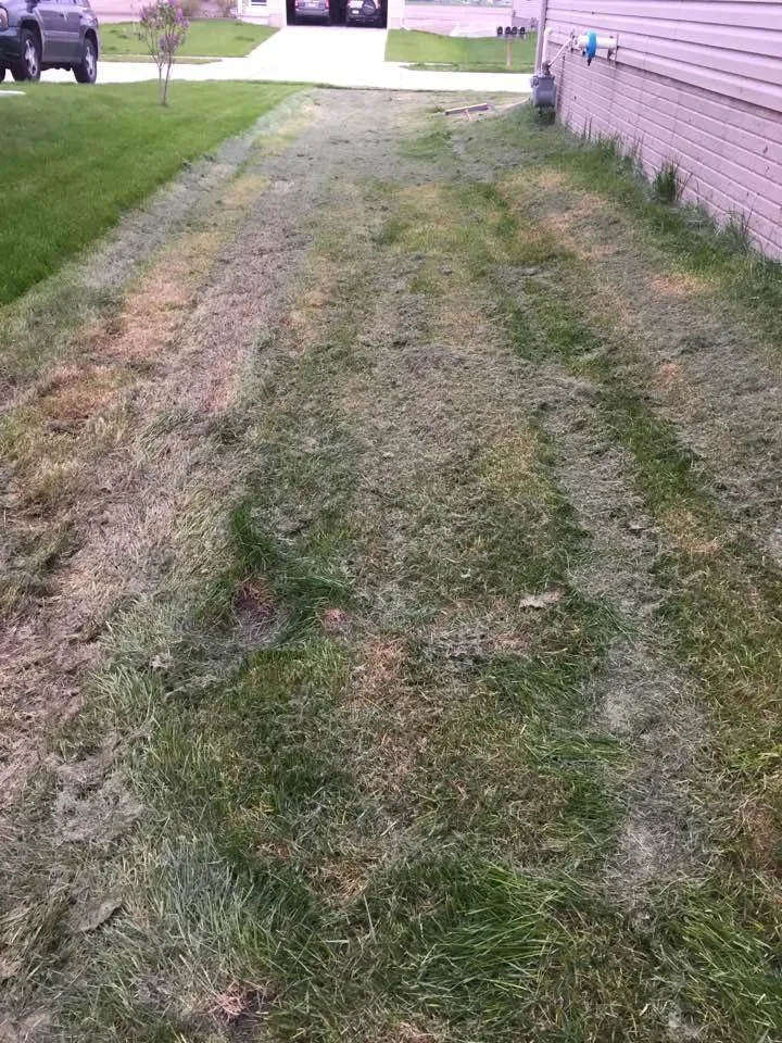 Reliable landscape installation for homes across Omaha, NE - Lawn Love Lawn Care