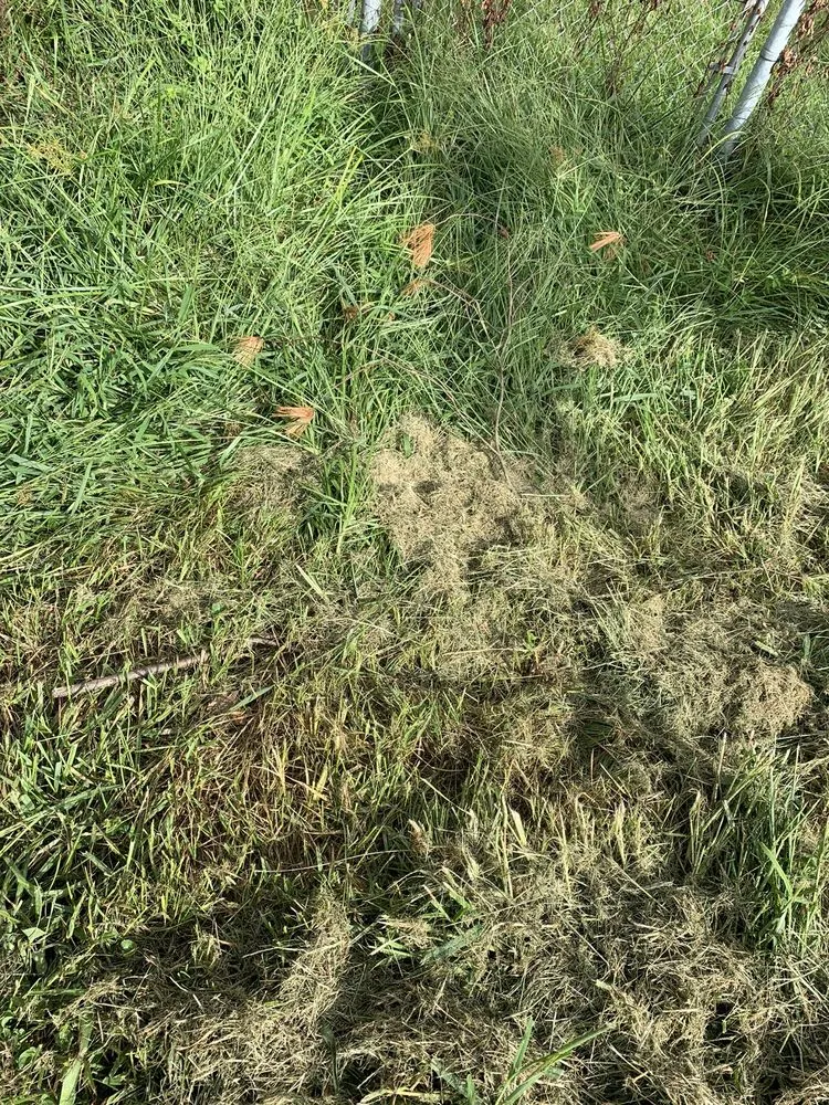 Local landscape installation for outdoor upgrades in Philadelphia, PA by Lawn Love Lawn Care