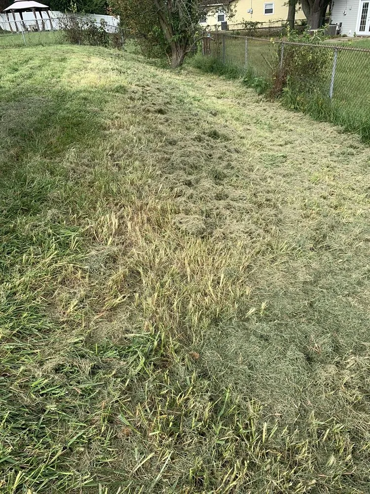 Trusted residential landscaping in Philadelphia, PA - Lawn Love Lawn Care