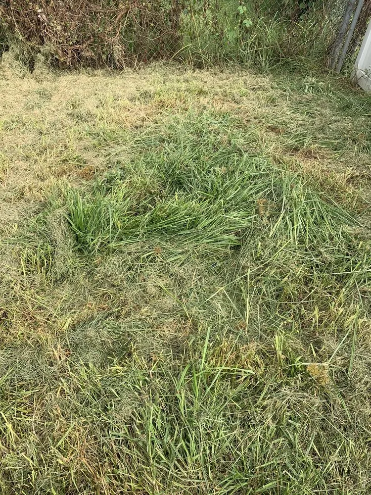 Custom residential landscaping in Philadelphia, PA by Lawn Love Lawn Care