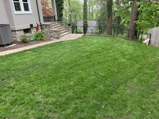 Lawn Love Lawn Care Logo