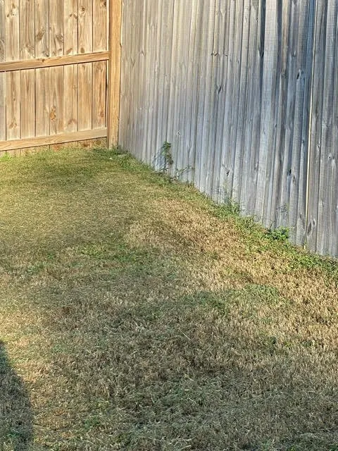 Affordable garden landscaping experts serving Pittsburgh, PA - Lawn Love Lawn Care