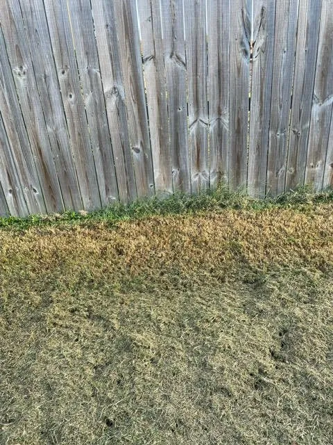 Local landscape installation for homes in Pittsburgh, PA by Lawn Love Lawn Care