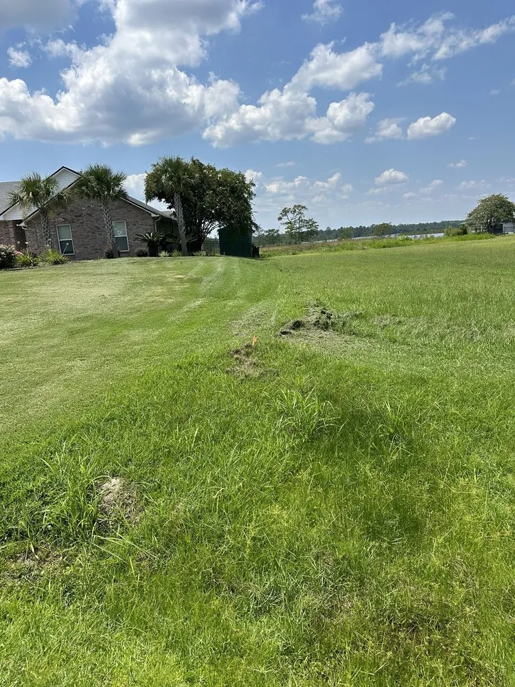 Top-rated lawn care service with custom design in Raleigh, NC by Lawn Love Lawn Care