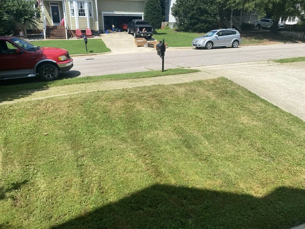 Custom lawn care service in Raleigh, NC - Lawn Love Lawn Care
