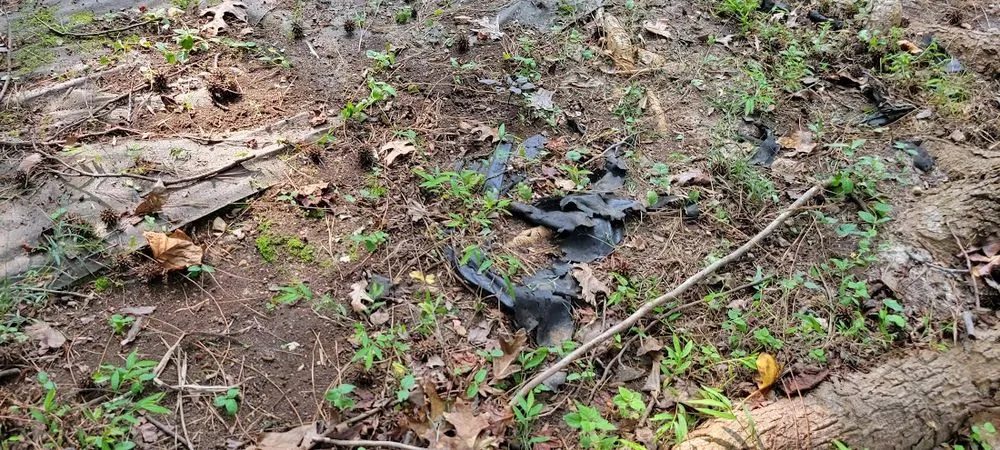 Affordable yard cleanup service experts serving Raleigh, NC - Lawn Love Lawn Care