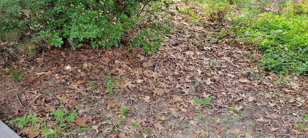 Custom landscape installation for beautiful yards in Raleigh, NC by Lawn Love Lawn Care